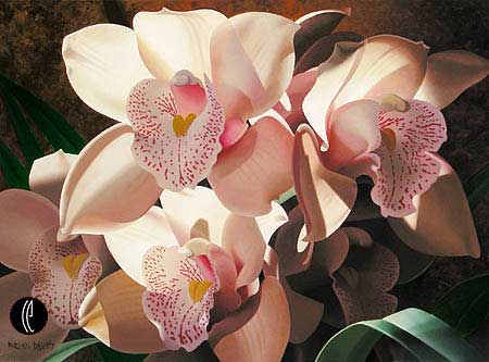 Brian Davis - Cymbidium Spray